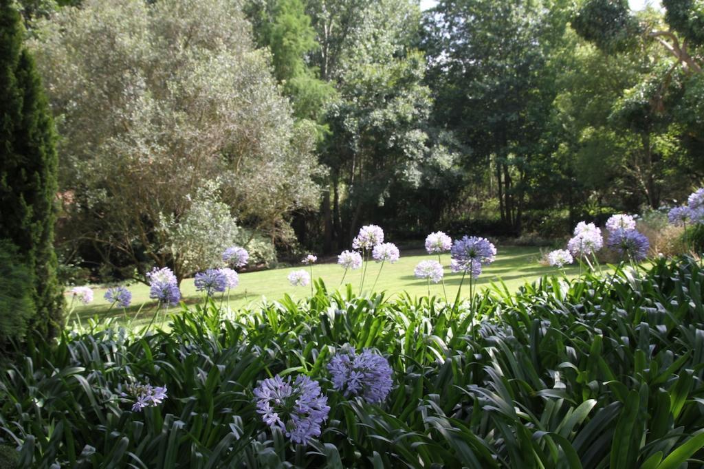 Aan De Vliet Guest House Stellenbosch Eksteriør bilde